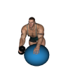 Dumbbell Row - Fitness Ball Inwards